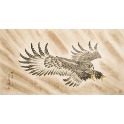 Eagle - CNAG003834