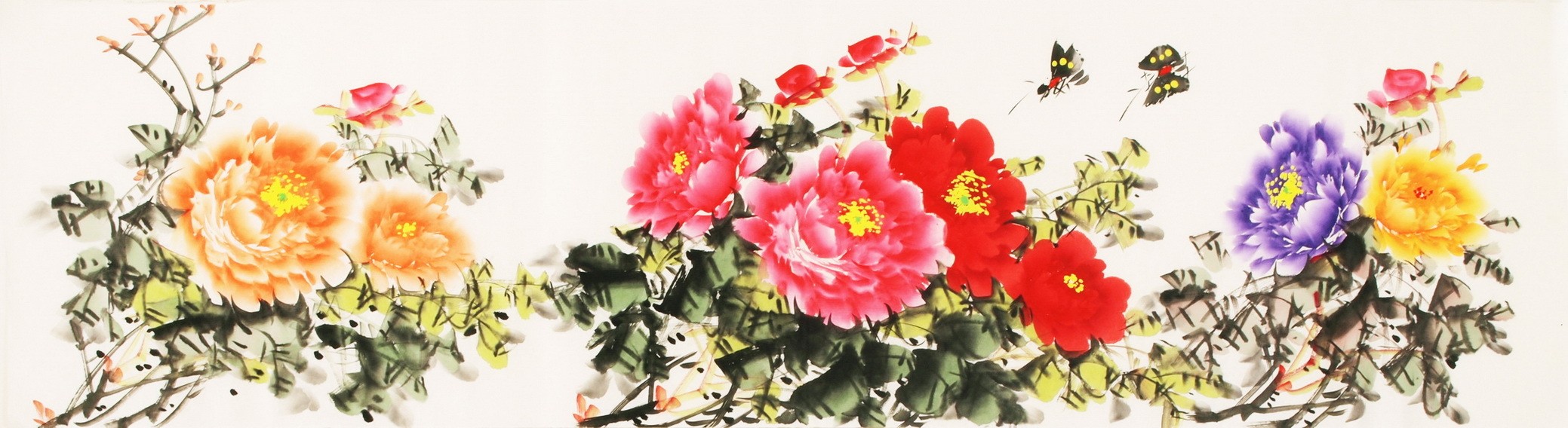 Peony - CNAG003836