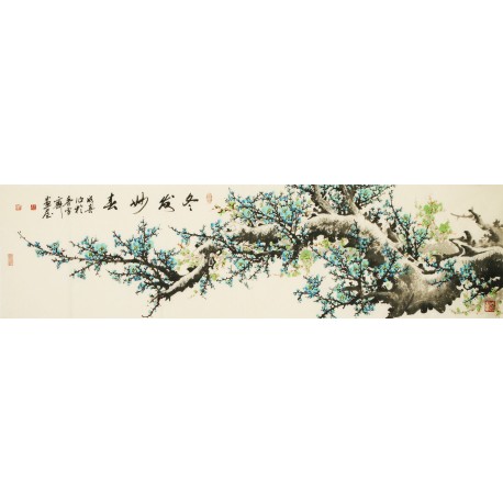 Plum - CNAG003838