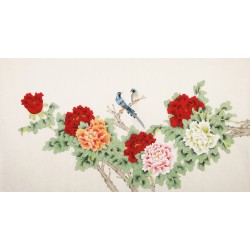 Peony - CNAG003839