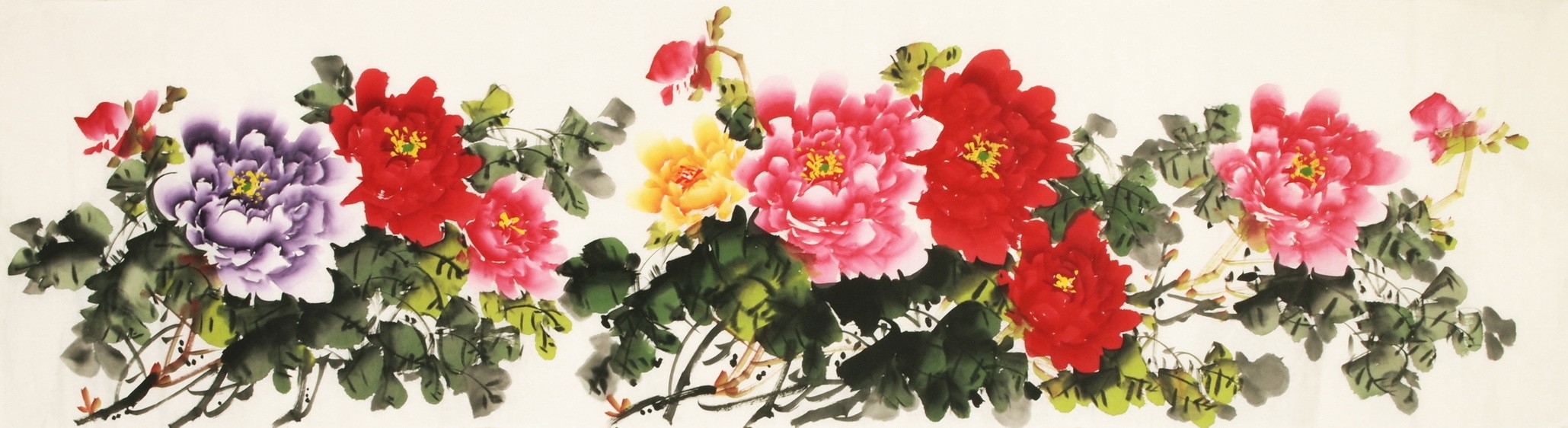 Peony - CNAG003840