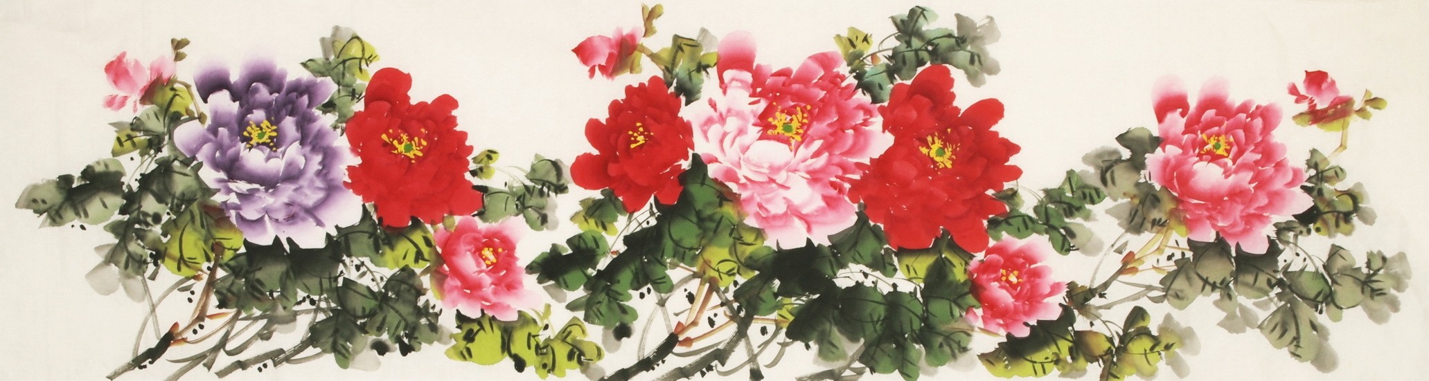 Peony - CNAG003841