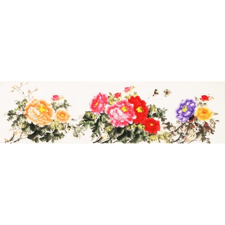 Peony - CNAG003842