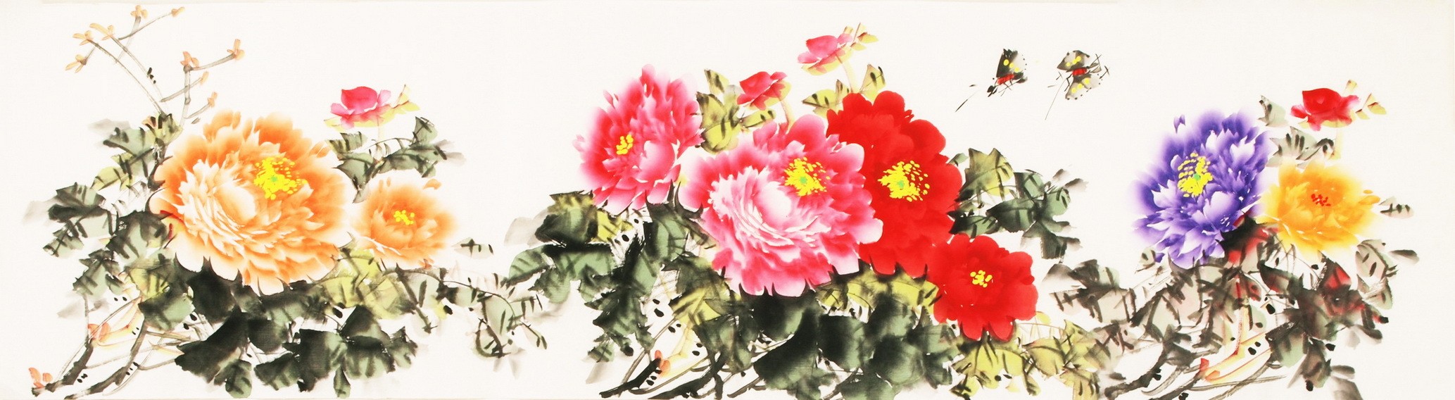 Peony - CNAG003842