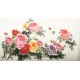 Peony - CNAG003851