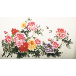 Peony - CNAG003851