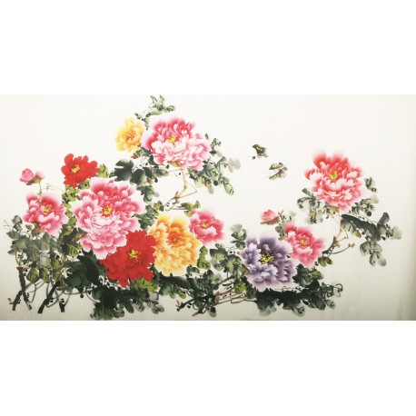 Peony - CNAG003851