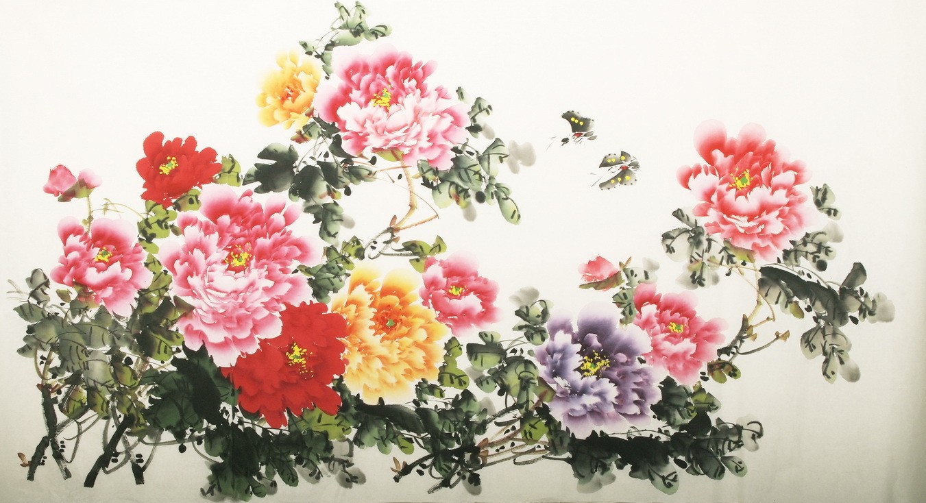 Peony - CNAG003851