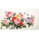 Peony - CNAG003852