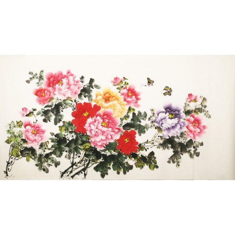 Peony - CNAG003852
