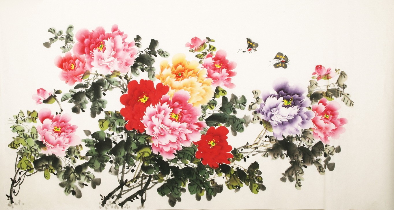 Peony - CNAG003852