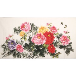 Peony - CNAG003853