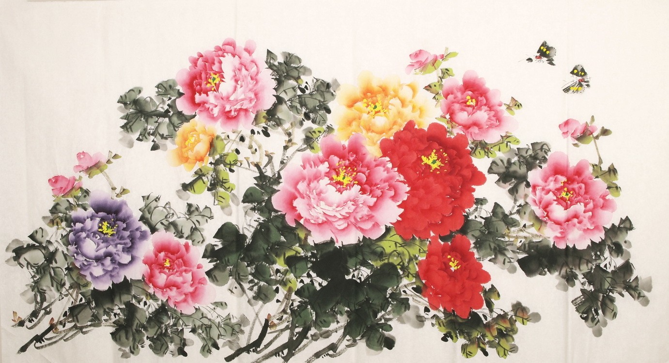 Peony - CNAG003853