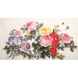 Peony - CNAG003854