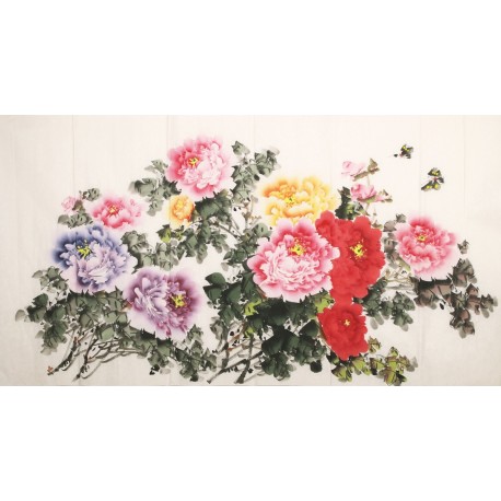 Peony - CNAG003854
