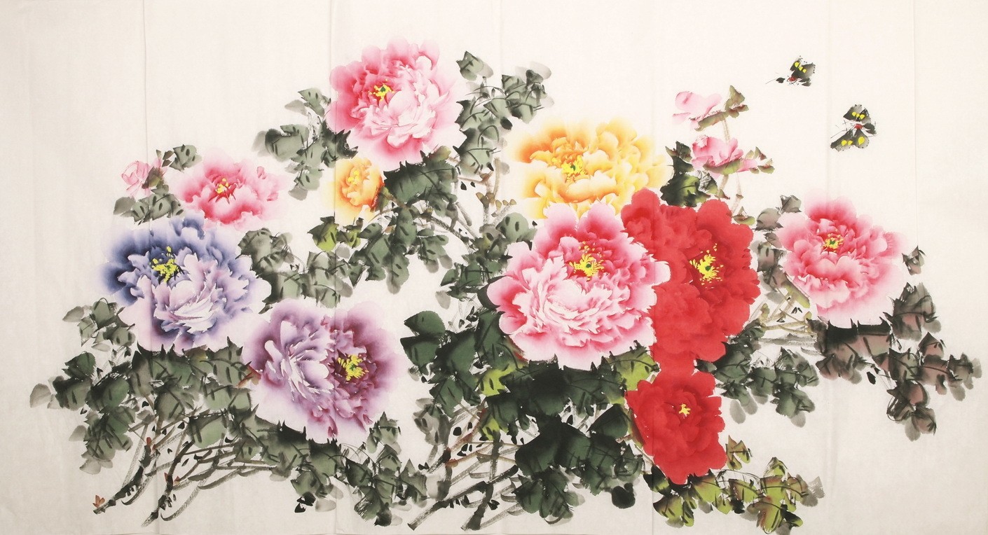 Peony - CNAG003854