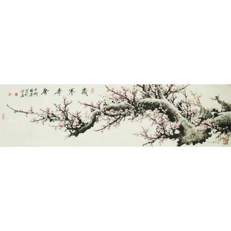 Plum - CNAG003855