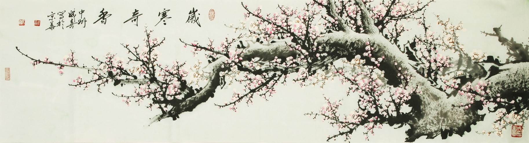 Plum - CNAG003855