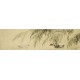 Willow - CNAG003857