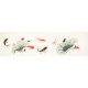 Fish - CNAG003861