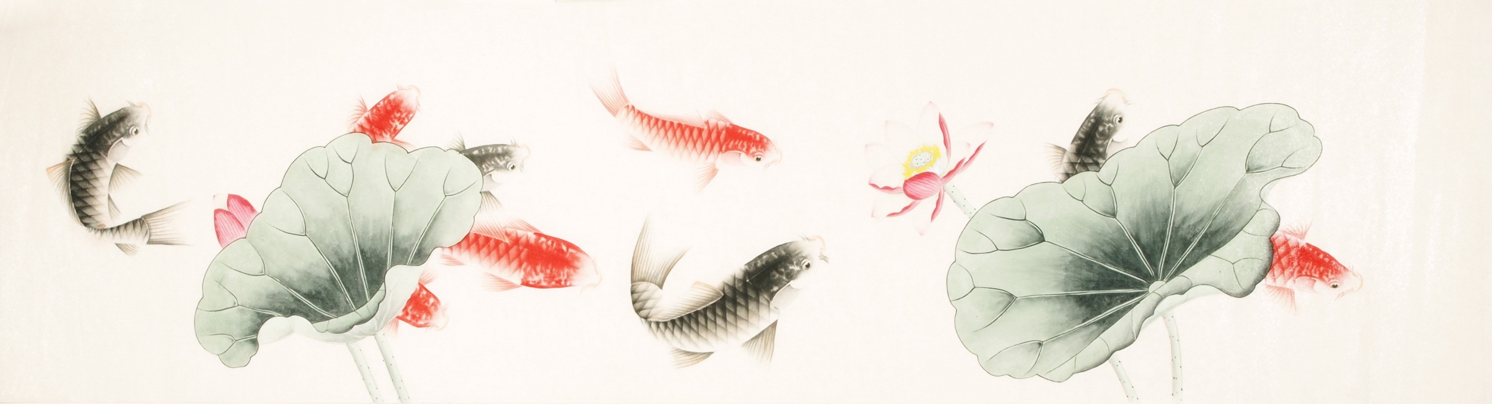 Fish - CNAG003861