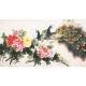 Peony - CNAG003862