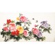 Peony - CNAG003864