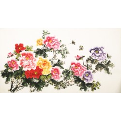 Peony - CNAG003864