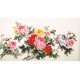 Peony - CNAG003865