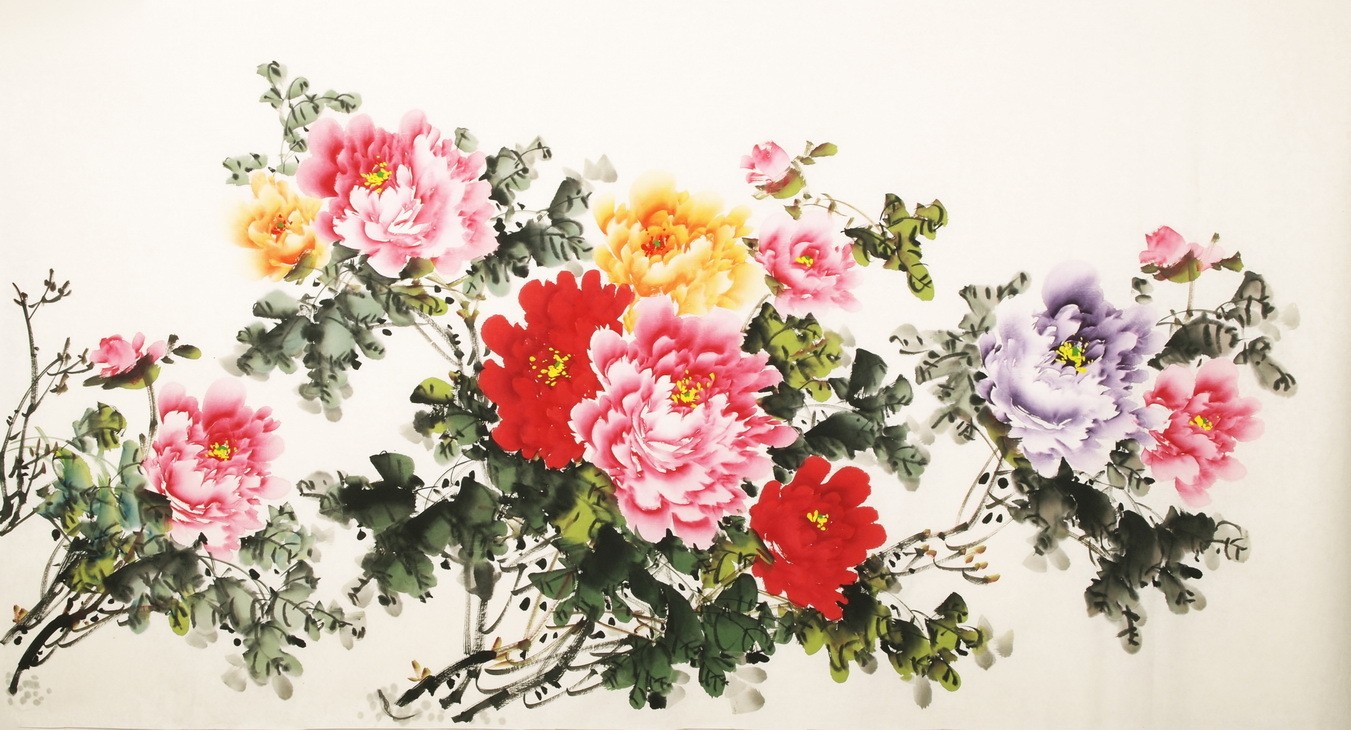 Peony - CNAG003865
