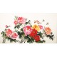 Peony - CNAG003866