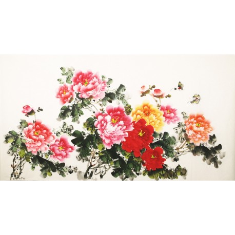 Peony - CNAG003866