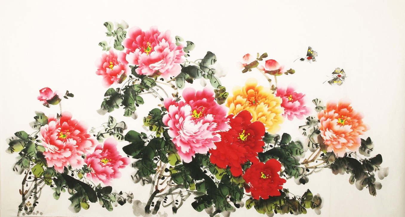 Peony - CNAG003866