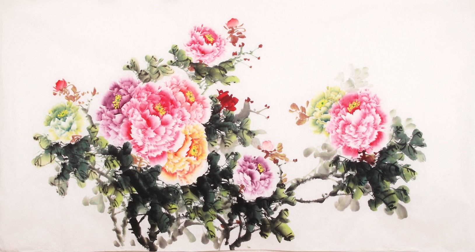 Peony - CNAG003875