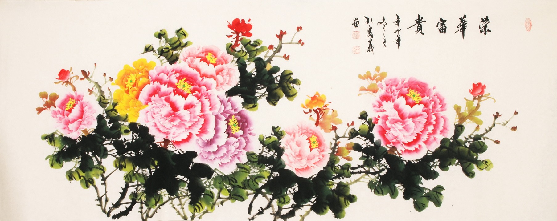 Peony - CNAG003876