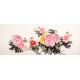 Peony - CNAG003877