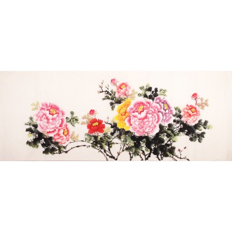 Peony - CNAG003877