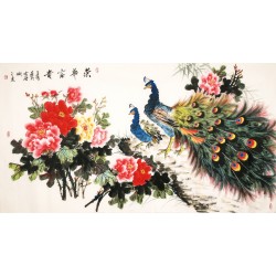 Peony - CNAG003878