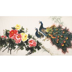 Peony - CNAG003880