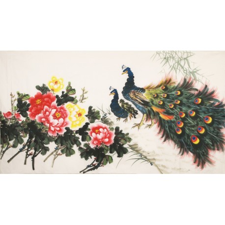 Peony - CNAG003880