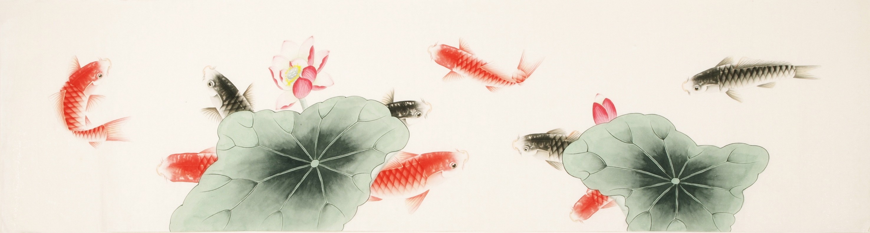 Fish - CNAG003885
