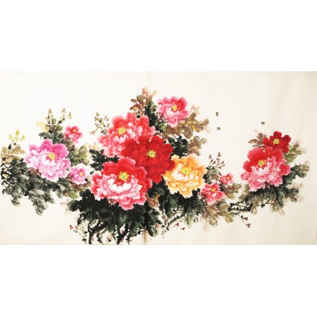 Peony - CNAG003887