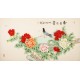Peony - CNAG003888