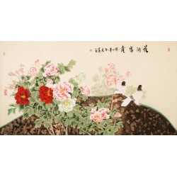 Peony - CNAG003889