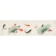 Fish - CNAG003893