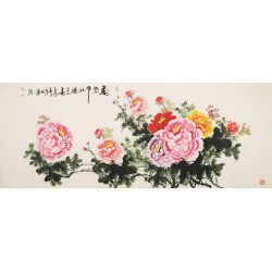 Peony - CNAG003897