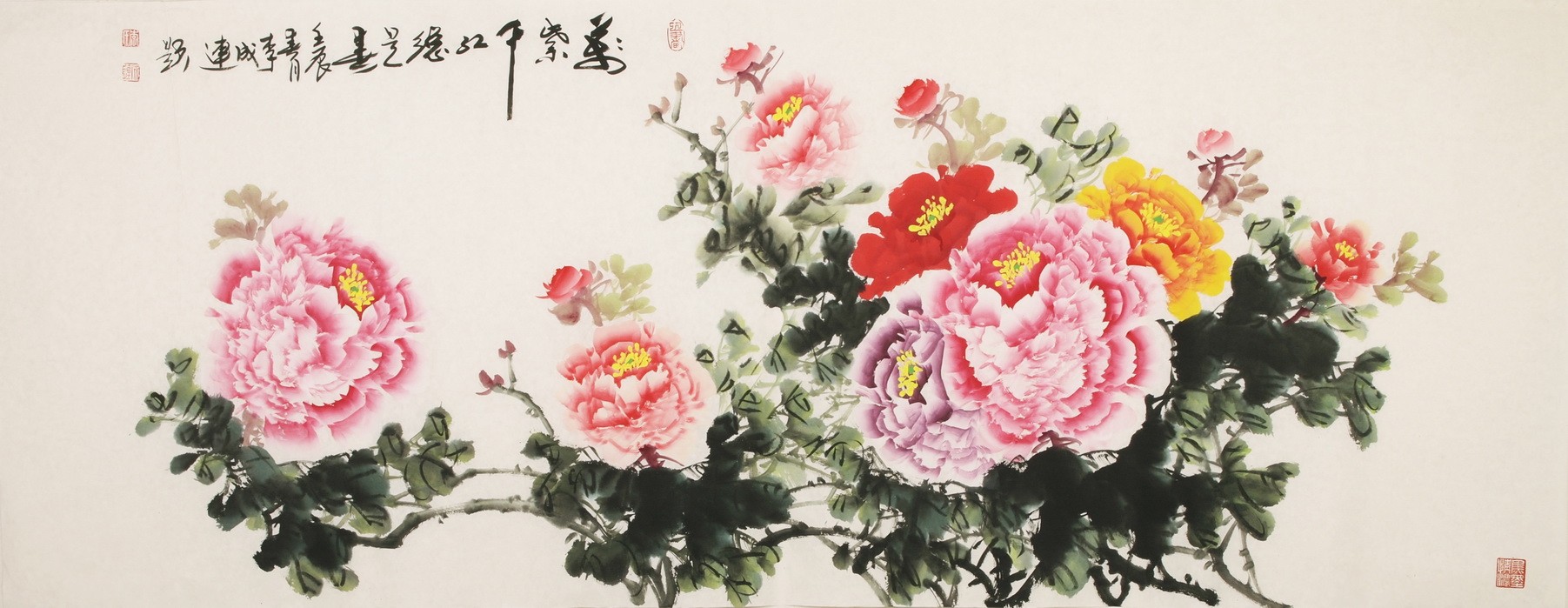 Peony - CNAG003897