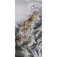 Tiger - CNAG000039