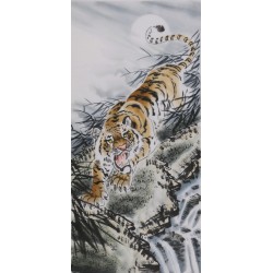 Tiger - CNAG000039