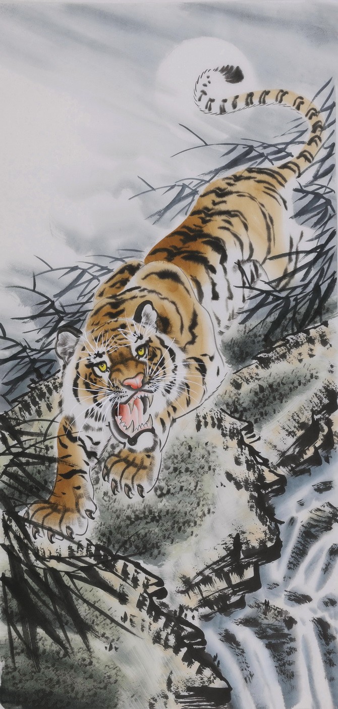Tiger - CNAG000039